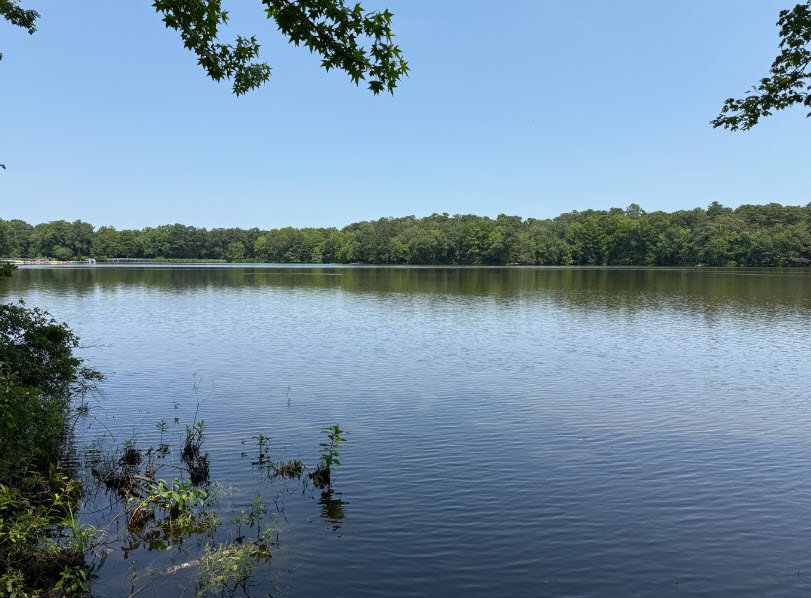 Trap Pond State Park